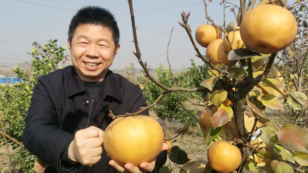 不朽情缘(中国区)官方网站